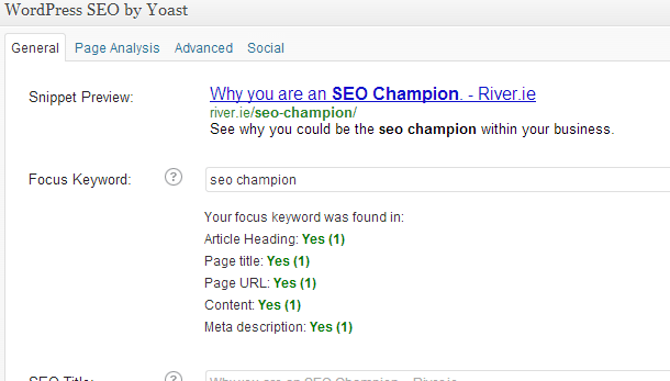 Become the seo champion within your business