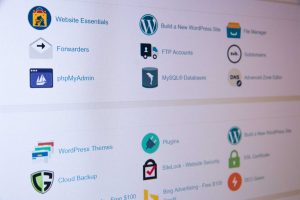 Wordpress theme and plugin folders